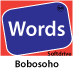 logo-bo-words1