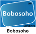 logo-bo2