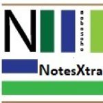 1X1CM-NOTES-2.jpg-NotesXtra.jpg-bolds